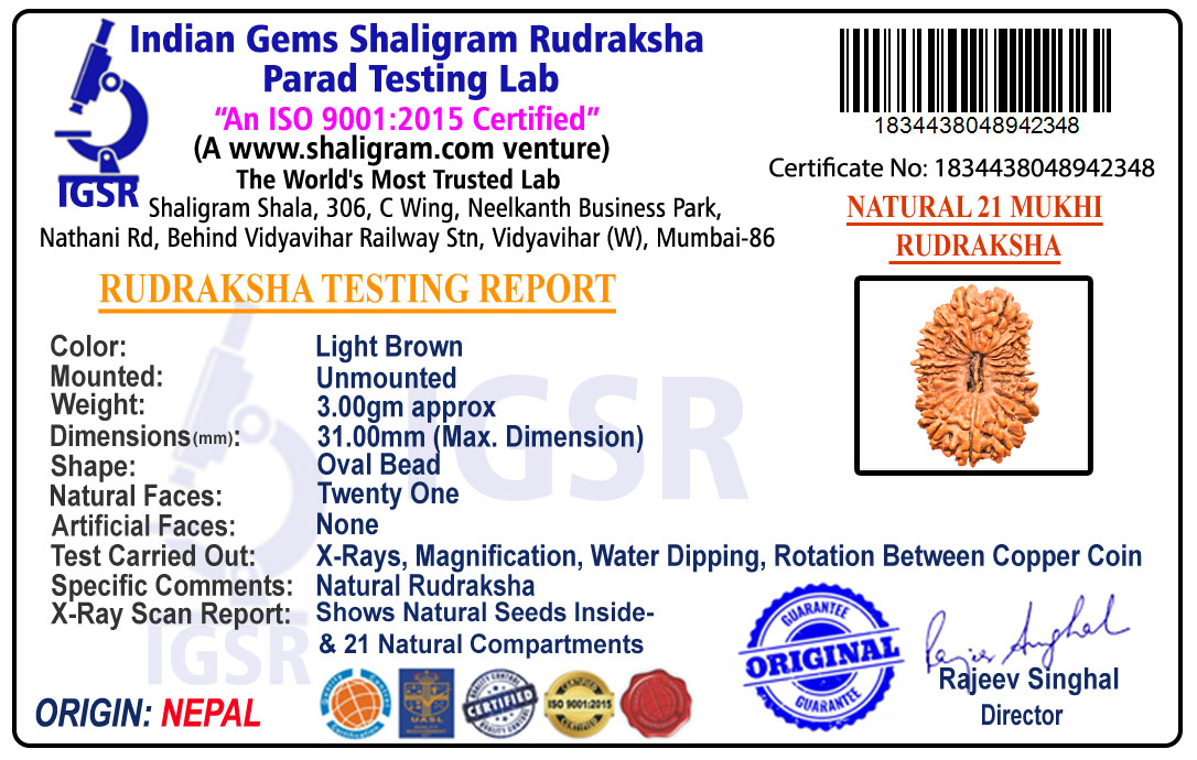 product-img/RD-21-A-A-01 1834438048942348-new.jpg